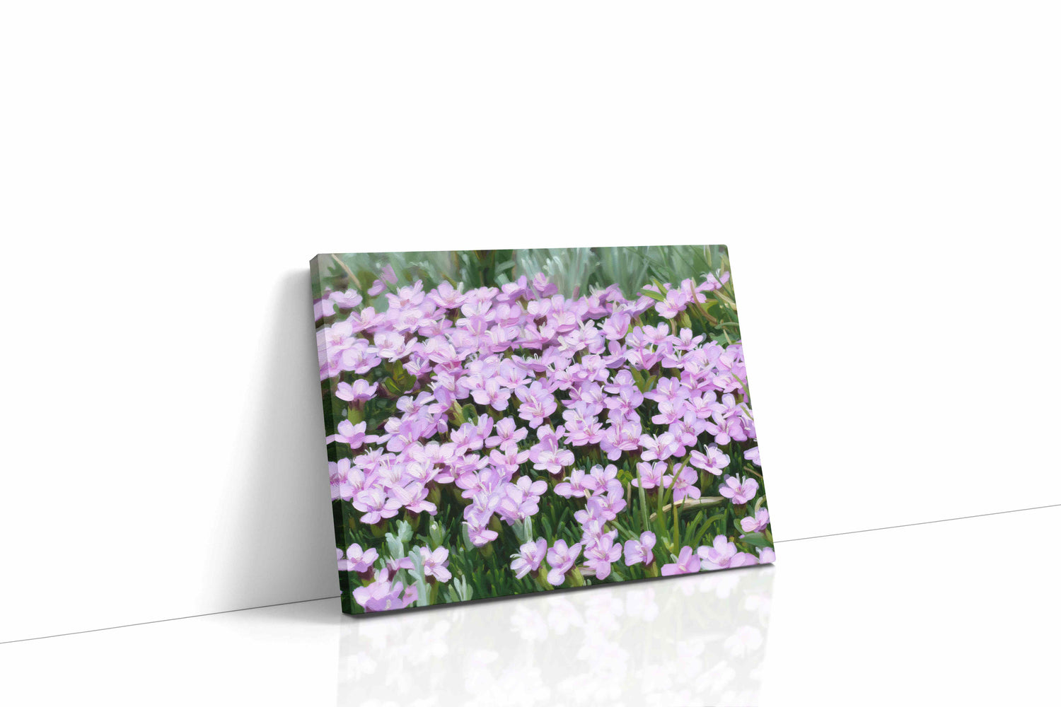 Whispers of Lavender (Floral)