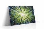 Whispers of the Canopy II nature canvas print gallery-wrapped landscape canvas studio shot