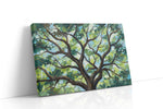 Whispers of the Oak nature canvas print gallery-wrapped landscape canvas studio shot