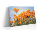 Golden Field Symphony poppies canvas print, gallery-wrapped, ready to hang