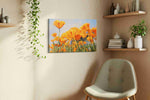 Golden Field Symphony – poppies canvas wall art, gallery-wrapped, ready to hang