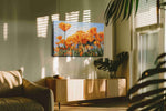 Golden Field Symphony poppies canvas print, on wall, lifestyle preview