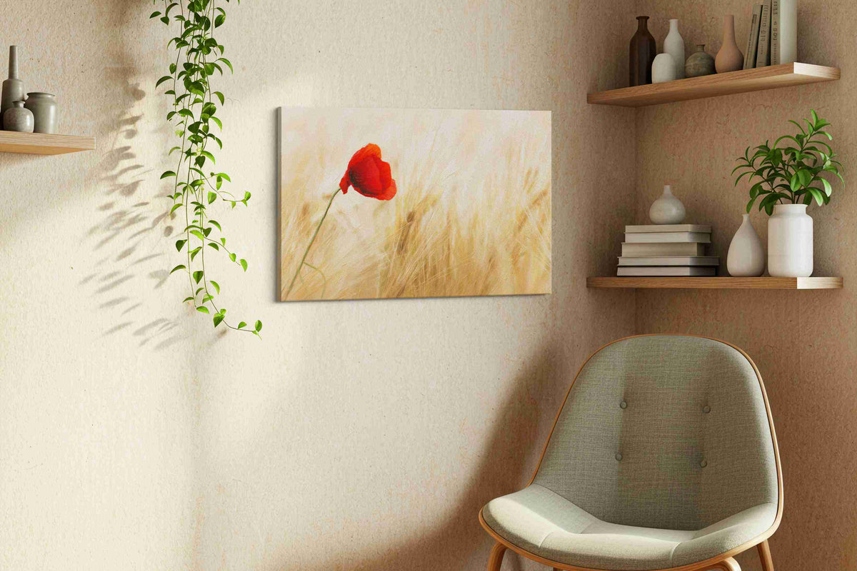 Whisper of the Scarlet Bloom poppies canvas print, hanging on wall