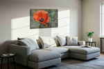 Whisper of the Scarlet Bloom II poppies canvas print, displayed in a living room