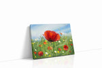 Whispering Scarlet Symphony poppies canvas print, gallery-wrapped, ready to hang