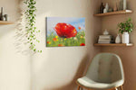 Whispers of Scarlet Blooms poppies canvas print, displayed in a living room