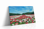 Whispers of Scarlet Fields poppies canvas print gallery-wrapped landscape canvas studio shot