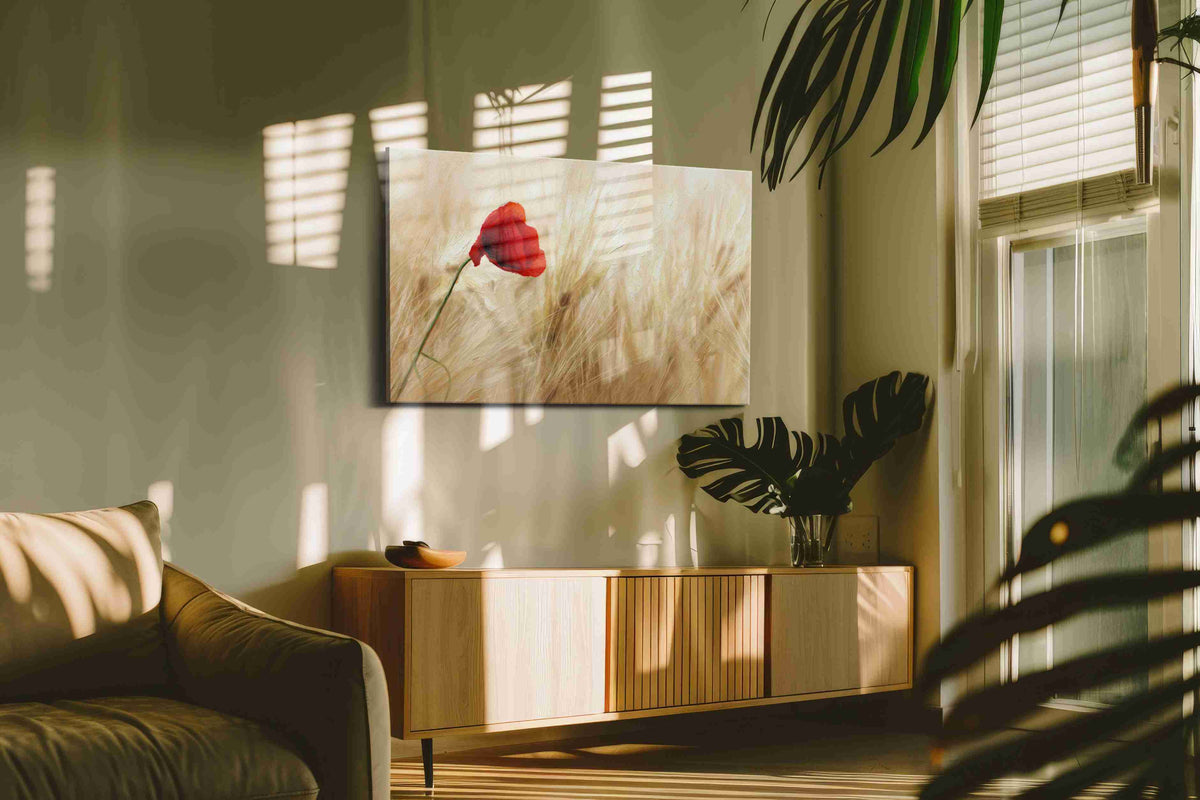 Whispers of a Crimson Dream poppies canvas print in a hung canvas mockup