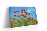 Whispers of the Poppy Meadow poppies canvas print gallery-wrapped landscape canvas studio shot