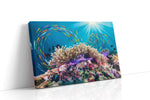 Vibrant Dance of the Coral Sea sealife canvas print gallery-wrapped landscape canvas studio shot