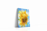 Whispers of the Sun spring canvas print, gallery-wrapped, ready to hang