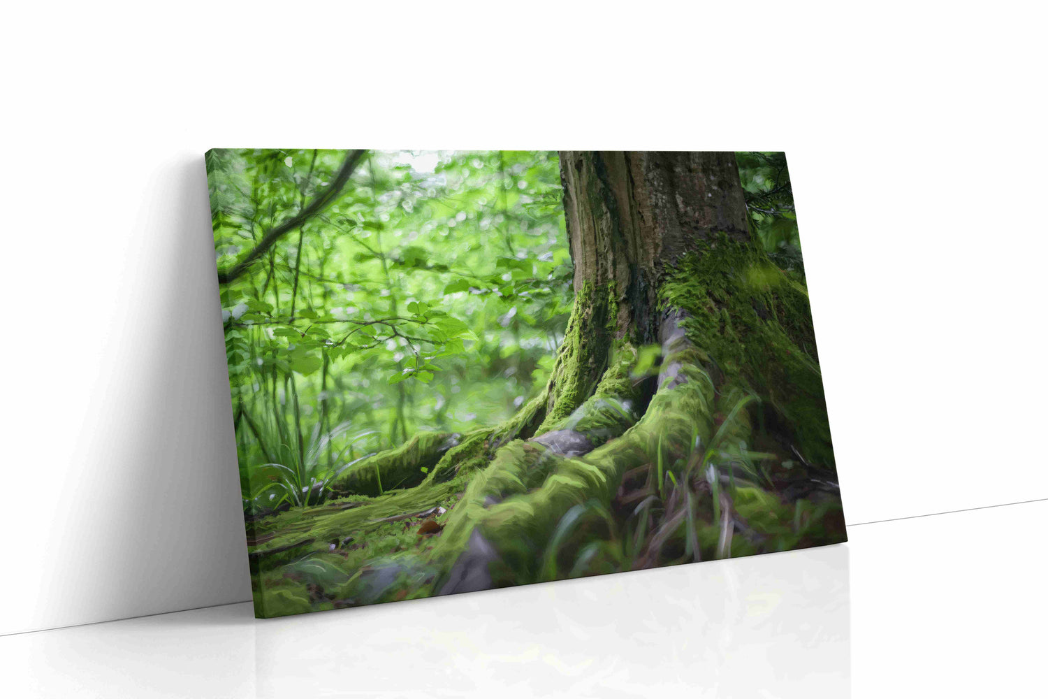 Enchanted Grove (Nature)