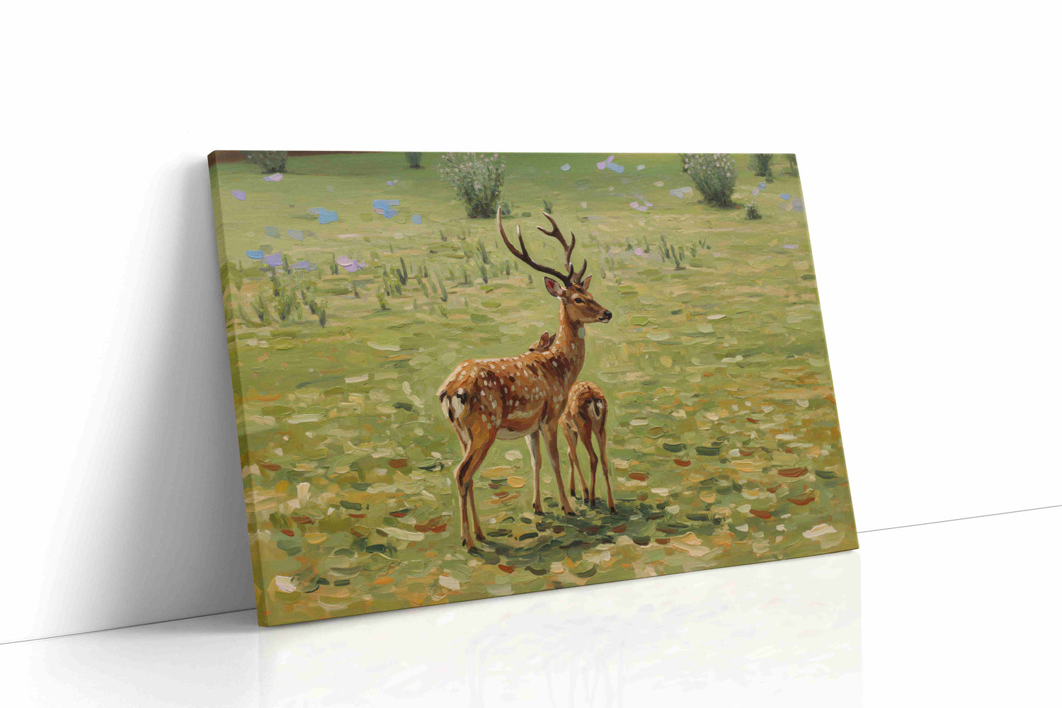 Gentle Meadow (Nature)