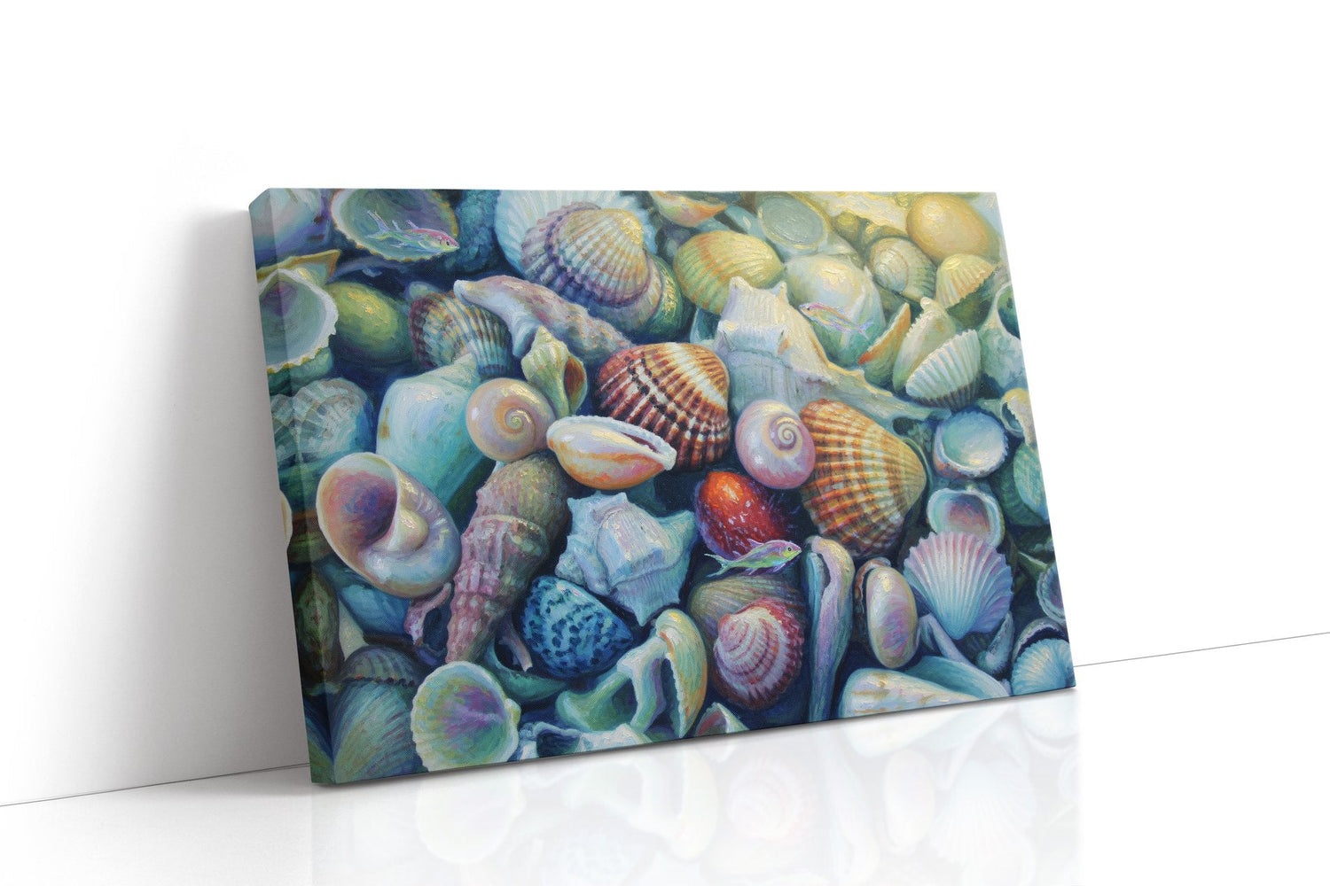 Seashell Symphony (Sealife)