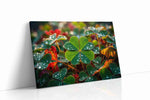 Dew-Kissed Clover Symphony leaves canvas print gallery-wrapped landscape canvas studio shot