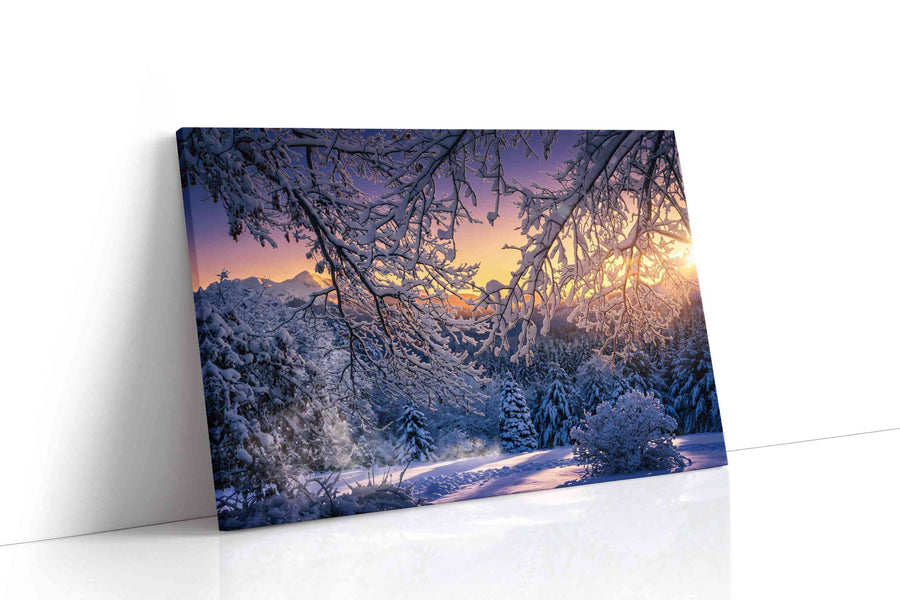 Ethereal Winter Dawn winter canvas print gallery-wrapped landscape canvas studio shot
