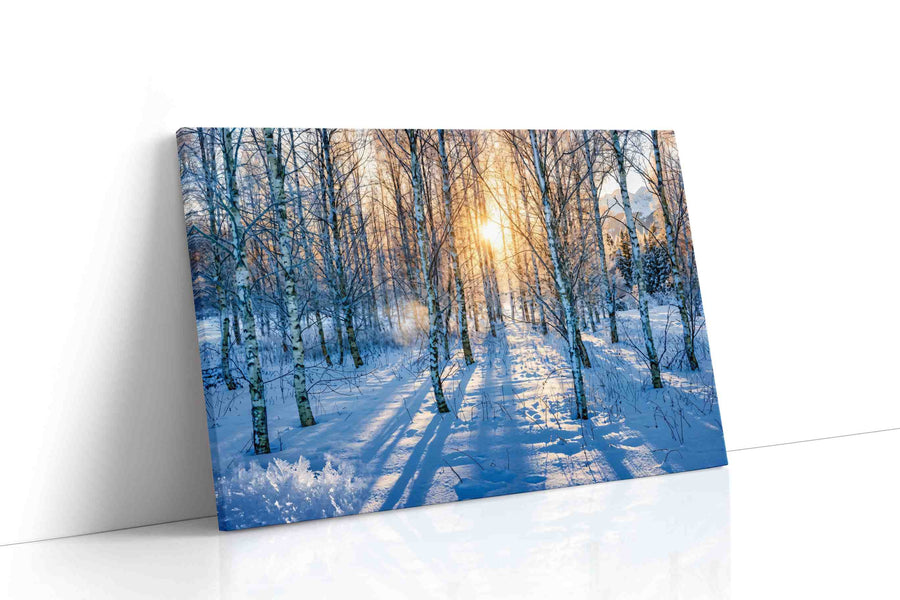Whispers of Winter Light winter canvas print, gallery-wrapped, ready to hang