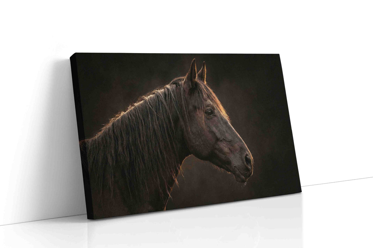 Ethereal Equine Majesty animals canvas print, gallery-wrapped, ready to hang