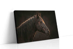 Ethereal Equine Majesty animals canvas print, gallery-wrapped, ready to hang
