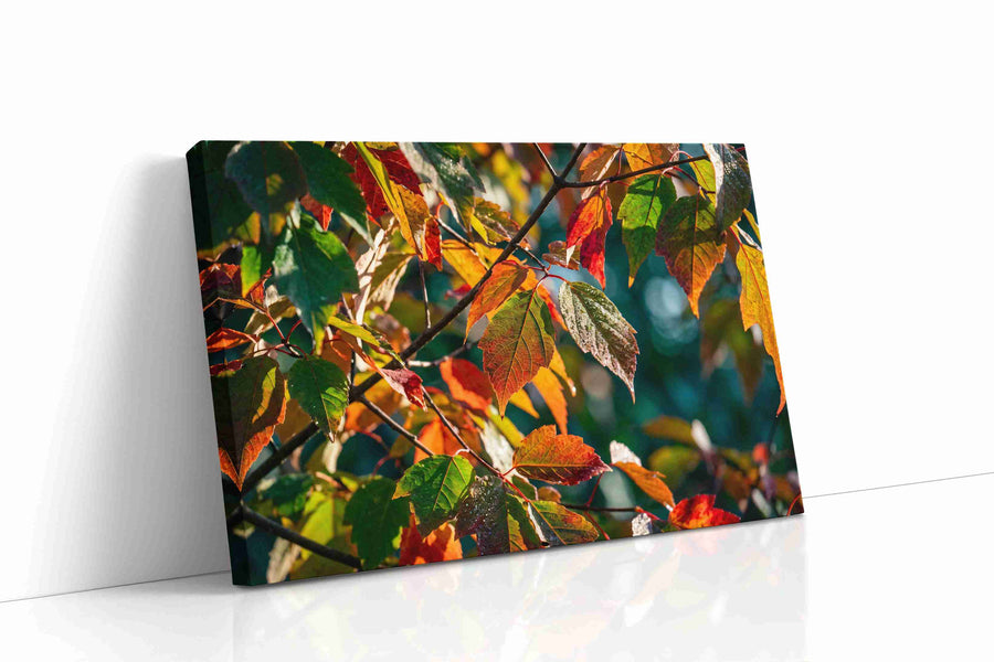 Autumn Symphony leaves canvas print, gallery-wrapped, ready to hang