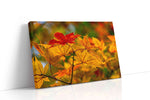Autumn's Golden Symphony leaves canvas print gallery-wrapped landscape canvas studio shot