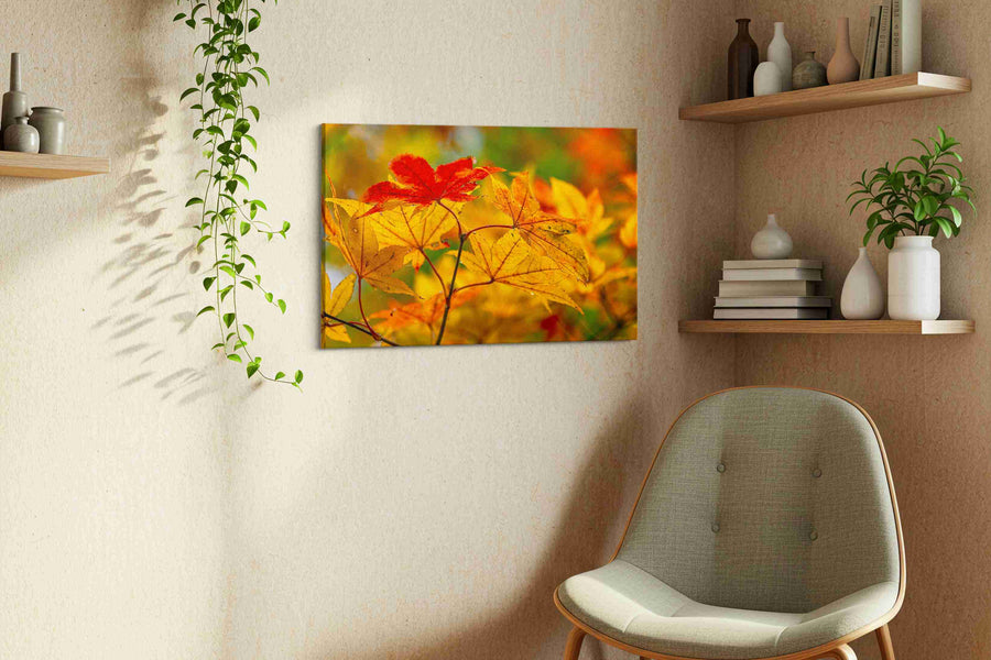 Autumn's Golden Symphony leaves canvas print, displayed in a living room