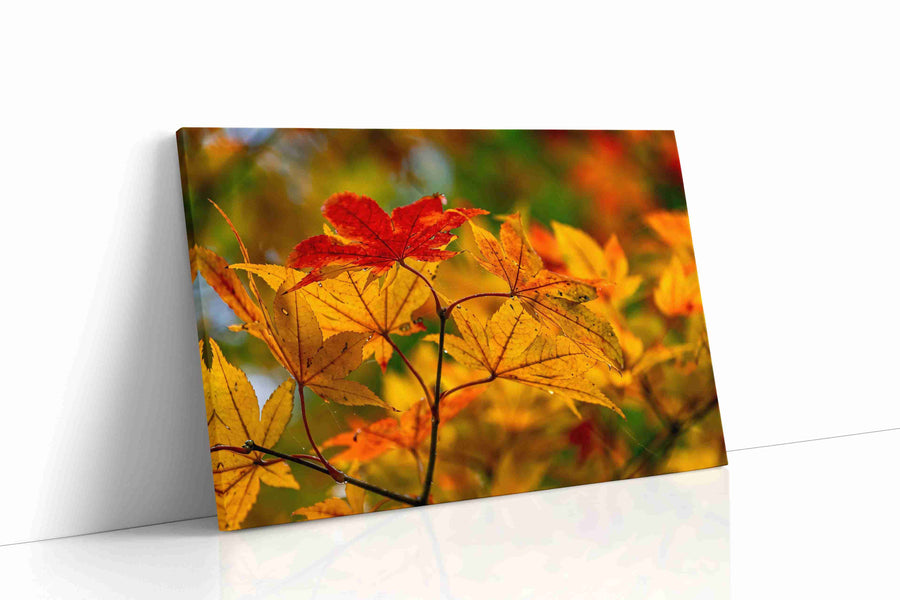 Autumn's Golden Symphony leaves canvas print, gallery-wrapped, ready to hang