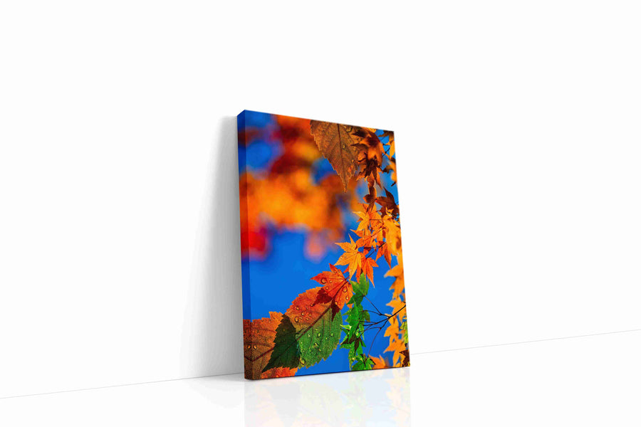 Eternal Autumn Symphony leaves canvas print, gallery-wrapped, ready to hang