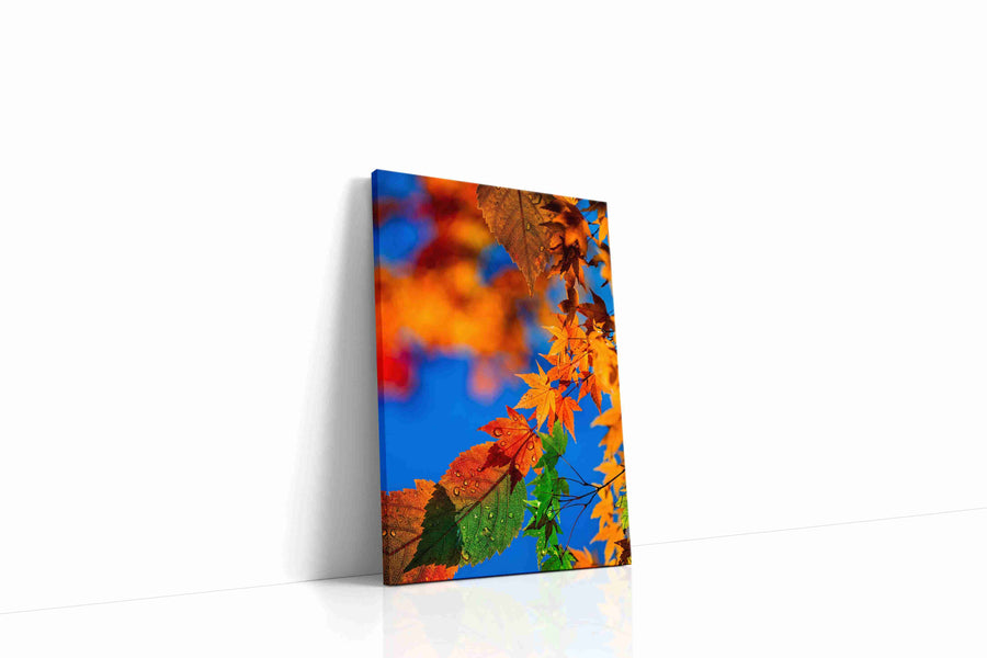 Eternal Autumn Symphony leaves canvas print gallery-wrapped portrait canvas studio shot