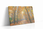 Golden Canopy of Autumn nature canvas print gallery-wrapped landscape canvas studio shot