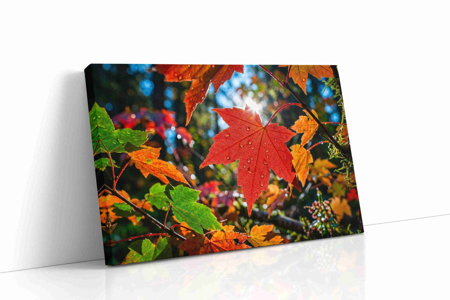 Radiant Autumn Symphony leaves canvas print gallery-wrapped landscape canvas studio shot