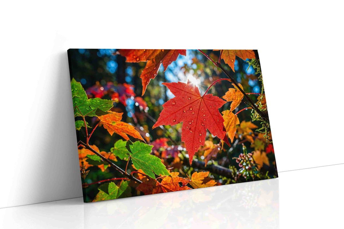 Radiant Autumn Symphony leaves canvas print, gallery-wrapped, ready to hang