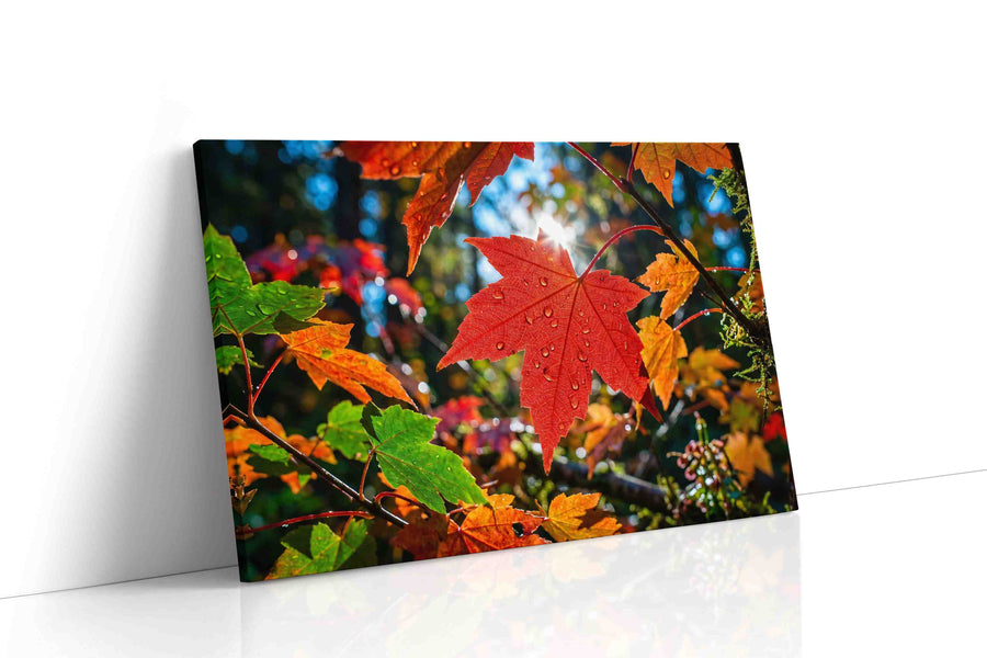 Radiant Autumn Symphony leaves canvas print, gallery-wrapped, ready to hang