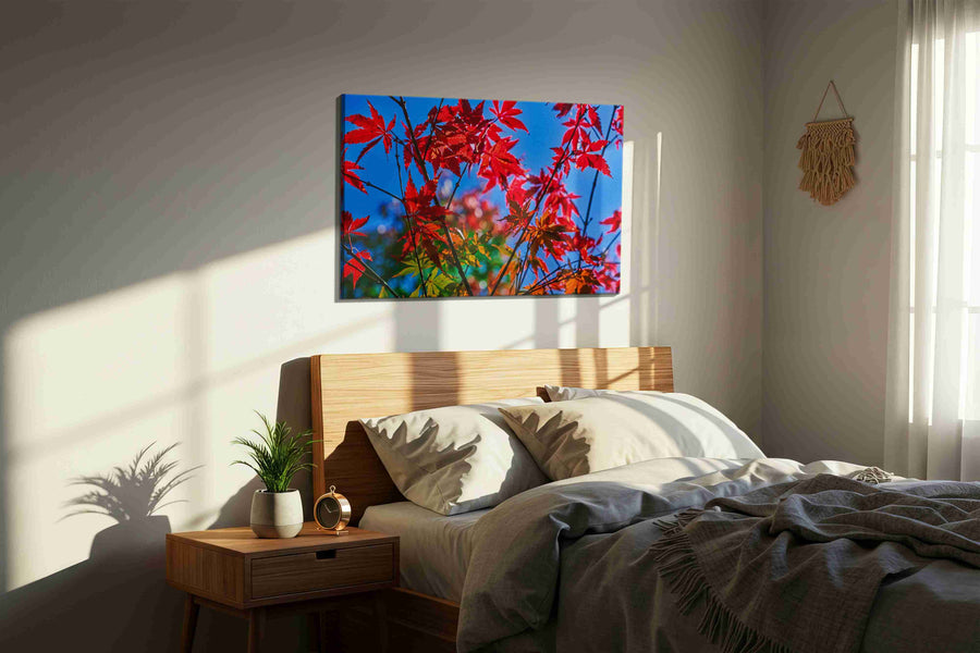 Crimson Canopy leaves canvas print, displayed in a bedroom
