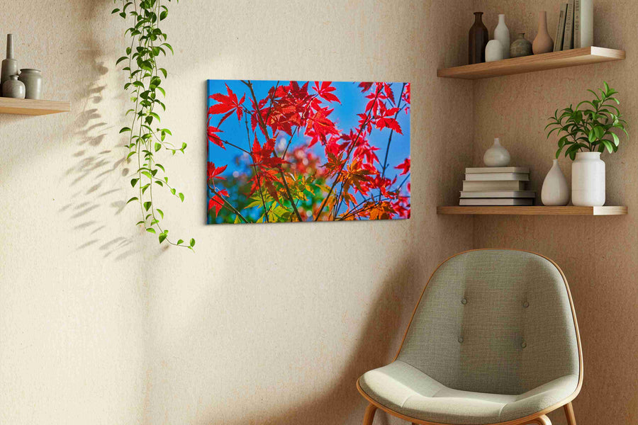 Crimson Canopy leaves canvas print, displayed in a living room