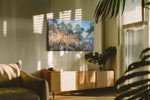 Radiant Dawn in the Pines (Nature) - Nature Wall Art, Scenic Canvas Print, Natural Landscape Art