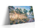 Radiant Dawn in the Pines nature canvas print gallery-wrapped landscape canvas studio shot