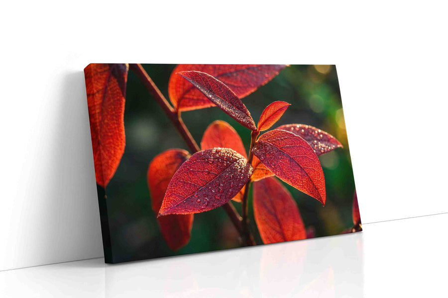 Radiant Morning Dew leaves canvas print gallery-wrapped landscape canvas studio shot