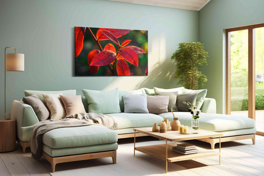 Radiant Morning Dew leaves canvas print, hanging on wall