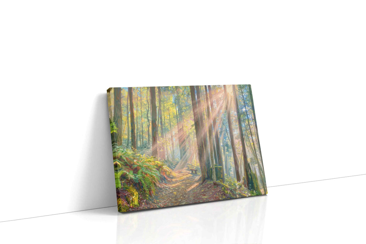 Whispering Light Through Woodland nature canvas print, gallery-wrapped, ready to hang