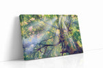 Whispers of Light nature canvas print gallery-wrapped landscape canvas studio shot