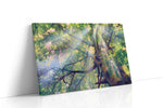 Whispers of Light nature canvas print, gallery-wrapped, ready to hang