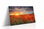 Crimson Reverie at Dusk poppies canvas print, gallery-wrapped, ready to hang
