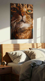 Enigmatic Feline Gaze cats canvas print, displayed in a bedroom