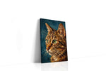 Whiskers in Amber Light cats canvas print gallery-wrapped portrait canvas studio shot