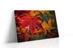 Autumn's Jewel Leaves leaves canvas print, gallery-wrapped, ready to hang