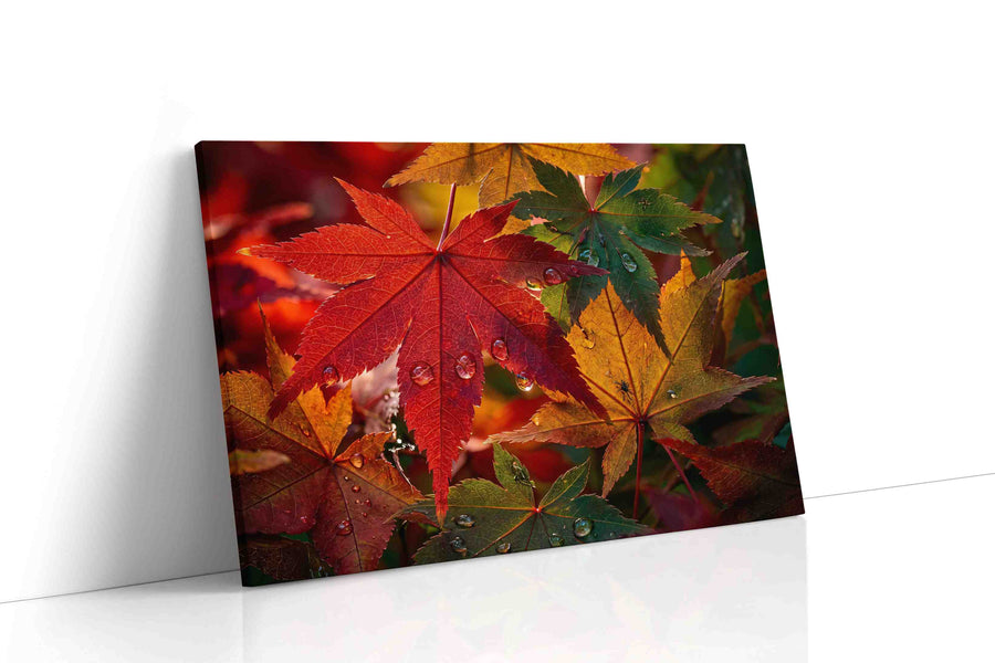 Autumn's Jewel Leaves leaves canvas print, gallery-wrapped, ready to hang