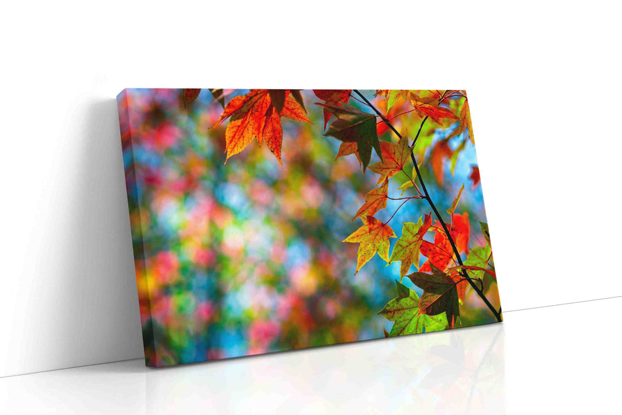Whispers of Autumn Radiance leaves canvas print, gallery-wrapped, ready to hang