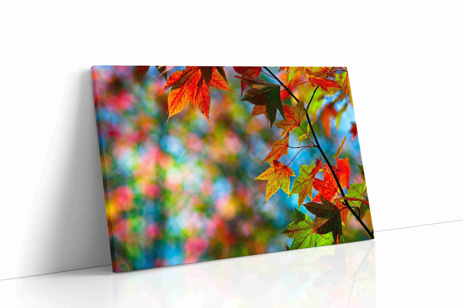 Whispers of Autumn Radiance leaves canvas print gallery-wrapped landscape canvas studio shot