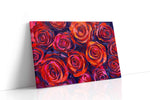 Velvet Whirl of Passion floral canvas print gallery-wrapped landscape canvas studio shot
